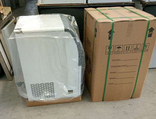 Machine à glaçons de 1000 kg à des fins commerciales, congélateur inclus