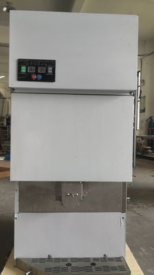 Dispenser automatique de glace en acier inoxydable 500 kg avec distributeur d'eau Moon Ice Maker