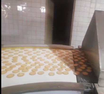 110/220 Conveyeur à économie d'énergie Petit four à tunnel pour les biscuits et les omelettes d'œufs de Real