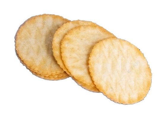 110/220 Conveyeur à économie d'énergie Petit four à tunnel pour les biscuits et les omelettes d'œufs de Real