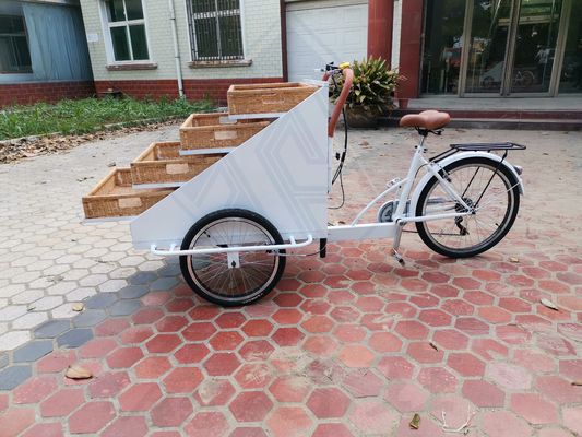 Vidéo Support technique personnalisé Food Snack Truck Vélo électrique pour panier de nourriture chaude