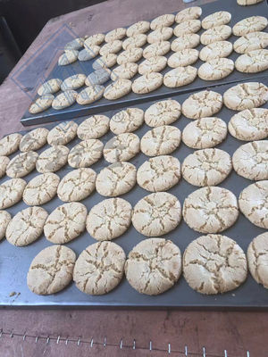 Machine de traitement des biscuits industriels avec fonction multifonctionnelle