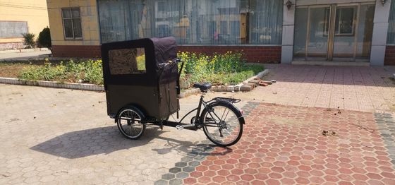 200 kg de panier à bicyclette à trois roues mobiles destiné à la vente commerciale de jus en plein air