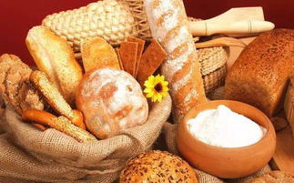 Fonction de cuisson automatique du pain Pita Le four rotatif à convection électrique à gaz diesel 50,5kw