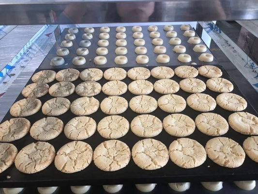 Fabricant de biscuits industriel multifonctionnel avec fonctionnalité multifonctionnelle