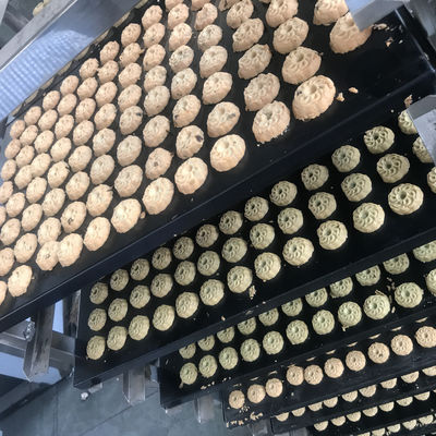 Machine de fabrication de biscuits à noix douces entièrement automatique avec différentes capacités de production