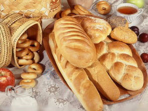 Machine de transformation des aliments four rotatif à un pas pour les biscuits gâteaux et pain à un prix abordable