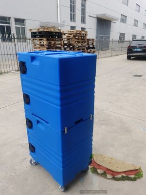 Un conteneur isolé est la solution idéale pour l'expédition de produits surgelés.