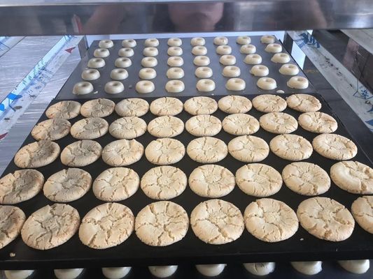 220V/380V Salée Crisp Machine de biscuits de lait Pour vos besoins de transformation alimentaire