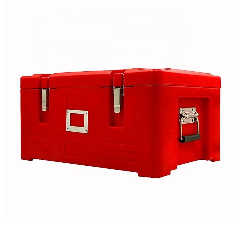 Container en plastique isolé pour boîte à lunch pour le transport de poissons